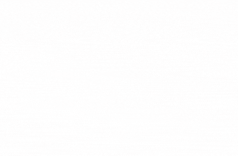 gif 1